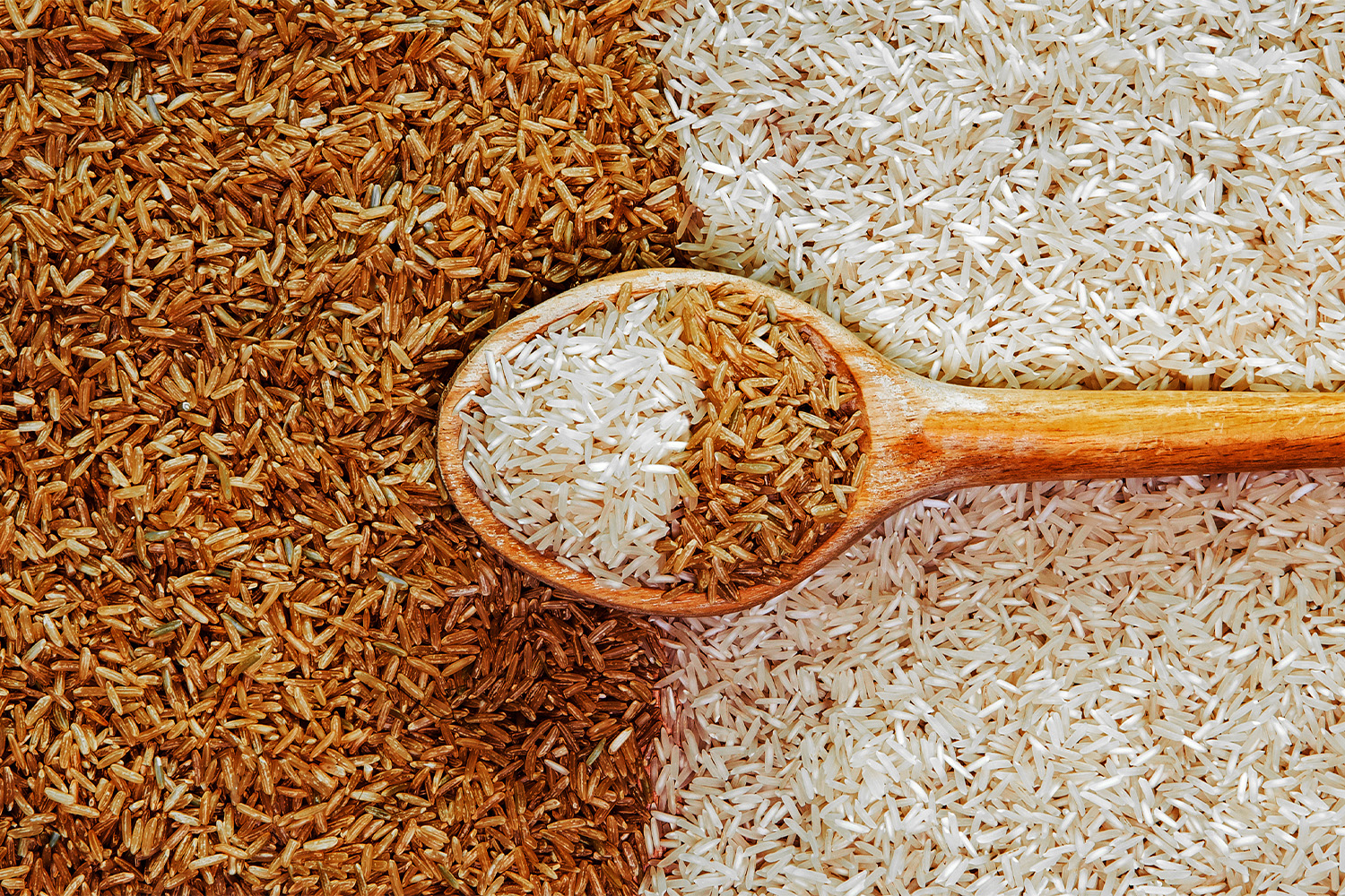 Brown Rice vs. White Rice: Which is Best for Bodybuilding?