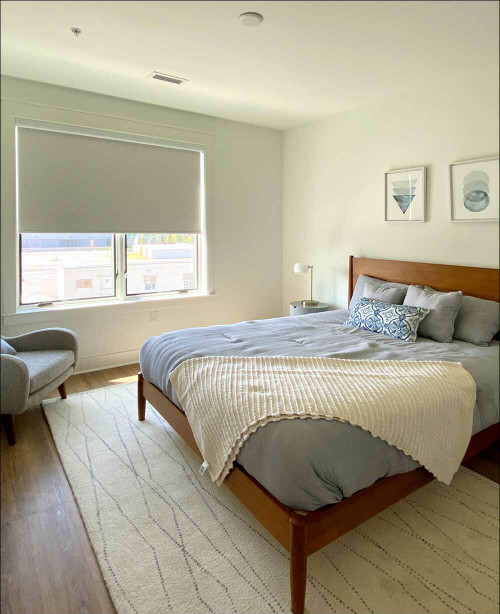 Blackout (100% Light Blocking) Fabric  EZRise & FREE Valance Roller Shades