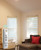Premium Room Darkening Zebra Dual Sheer Blackout SOMFY Smart Home Motorized Roller Shades
