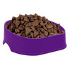 8" Pet Bowl