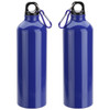 25 oz. Aluminum Bottle