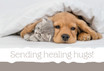 5 x 7 Get Well Cards Dog & Cat with Blank Envelopes
