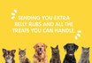 5 x 7 Get Well Cards Yellow Pets with Blank Envelopes