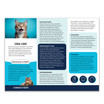 Dental Cat Trifold Brochure - 100 lb. Gloss Book