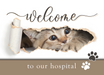 5 x 7 Welcome Card – Cat with Blank Envelopes
