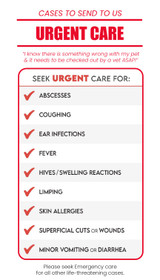 Business Card - Back