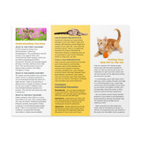 Kitten Vaccine Trifold Brochure - 100 lb. Gloss Book