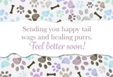 Get Well Cards Paws & Bones with Blank Envelopes