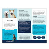 Dental Dog Trifold Brochure - 100 lb. Gloss Book