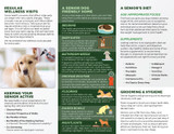 Senior Dog Trifold Brochure - 100 lb. Gloss Book