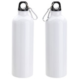 25 oz. Aluminum Bottle