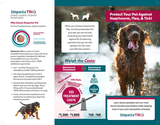 Simparica Trio Brochure
