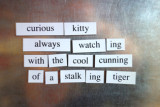 Car Lover (Magnetic Poetry Kit)