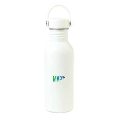 20 oz. Arlow Stainless Steel Bottle