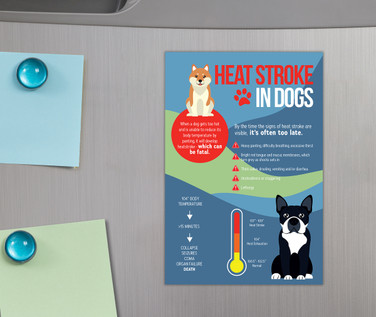 Heat Stroke Awareness Month Magnet - 4"x6"