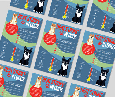 Heat Stroke Awareness Month -  4" x 6" Postcard