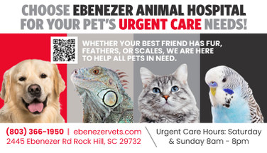 Business Card - Front