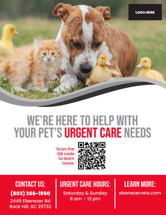 Urgent Care 8.5 X 11 Poster