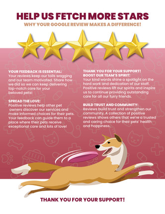 Google Review - Why and Benefits 8.5" x 11" Flyer