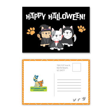 Happy Halloween Pets 4 x 6 Postcard