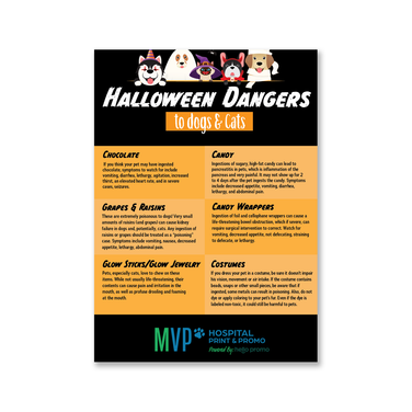 Halloween Dangers to Dogs & Cats v2 - 5 x 7 Magnet