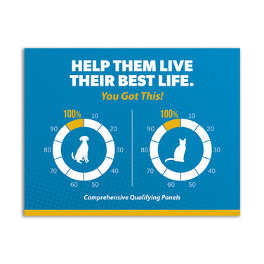 Brilliant Basics – Blue Pet Care Thermometer - Digital Download