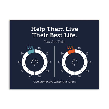 8.5 x 11 Brilliant Basics Flyer – Pet Care Thermometer