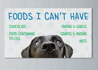 Pet Poison Prevention V2  2x3.5 Card Magnet