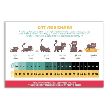 Cat Age Chart 12 x 18 Poster