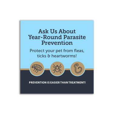 Parasite Prevention Sticker – Generic