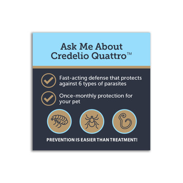 Parasite Prevention Sticker – Credelio Quattro™