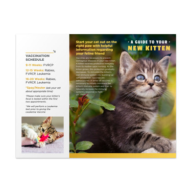 Kitten Vaccine Trifold Brochure - 100 lb. Gloss Book
