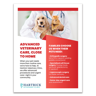 Services Layout 1 - 8.5 X 11 Poster