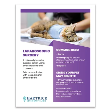 Services Layout 5 - 8.5 X 11 Poster
