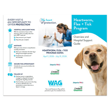 Digital Downloadable - General Practice Trifold Brochure - 100 lb. Gloss Book