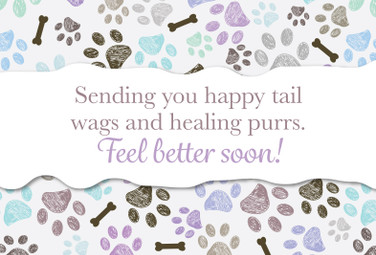 Get Well Cards Paws & Bones with Blank Envelopes