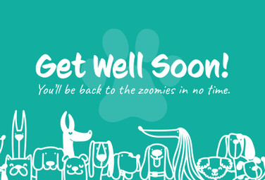 5 x 7 Get Well Cards Dogs with Blank Envelopes