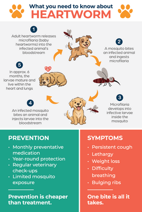 Heartworm Awareness Magnet 4" x 6"