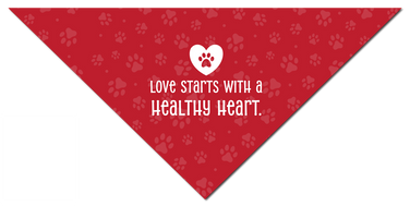 Small Bandoggies™ Cooling Pet Bandana- Heartworm Awareness
