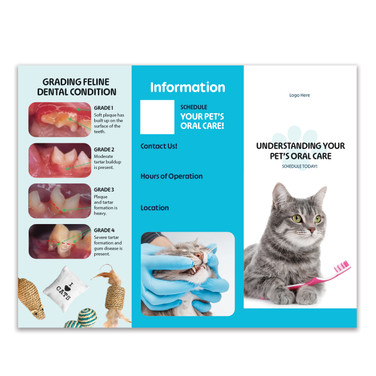 Dental Cat Trifold Brochure - 100 lb. Gloss Book