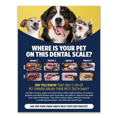 Dental Package Poster 8.5" x 11" Poster