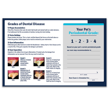 Dental Disease 4.25" x 11" Flyer