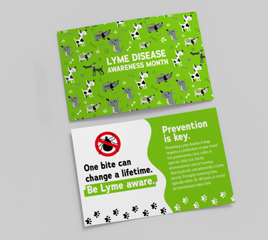 Tick & Lyme Disease Awareness  4 x 6 Postcard