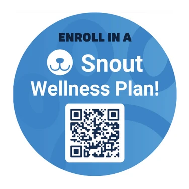 Enroll In a Snout Wellness Plan 3" Stickers