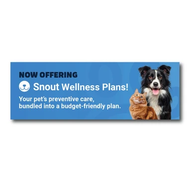 Snout Wellness Plans Laptop Decals - 2 x 6