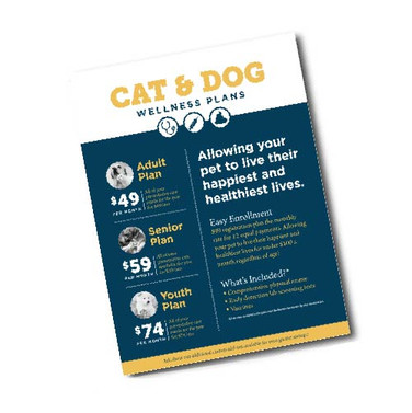 8.5" x 11" 100LB Gloss Text - One Sided