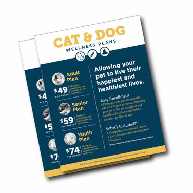 8.5" x 11" 100LB Gloss Text - Two Sided