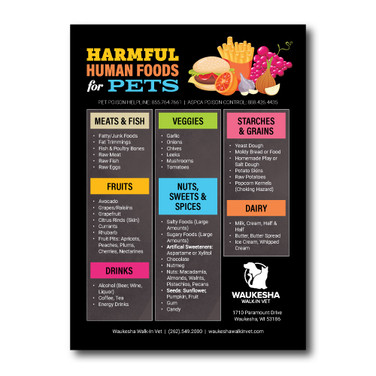 Toxic Foods Magnet - 5 x 7