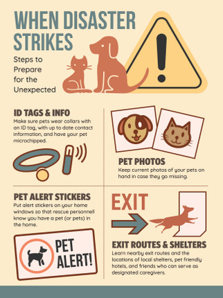 Disaster- 24 x 36 Poster