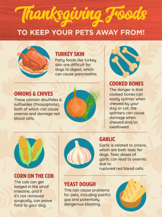 Thanksgiving Food- 24 x 36 Poster
